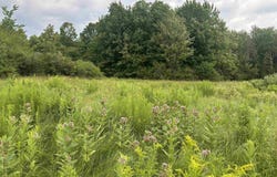 Ideauma Rd, DeKalb Junction, NY 13630