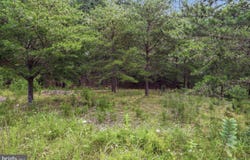 28 EWING ESTATES, BAKER, WV 26801