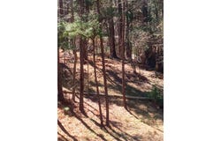 116 State Rd S-33-298, Modoc, SC 29838