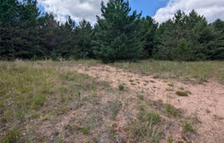 Fosmo Drive lot: 5, Webster, WI 54893
