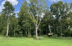 842 Olive Branch Drive, Smithfield, NC 27577