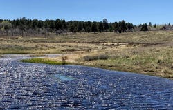 62X Road lot: 13, Placerville, CO 81430