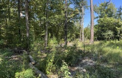 Hwy 18 E, Gray, GA 31032