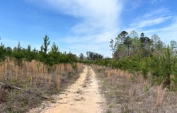 Cr 421, Quitman, MS 39355