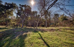 11622 February Dr, Austin, TX 78753