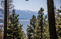 87 Rock Ridge Way, Bigfork, MT 59911