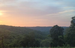311 Tipton Mountain Road, Reeds Spring, MO 65737
