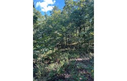 Tract 4 SE 1083 Rd AVE, Red Oak, OK 74563