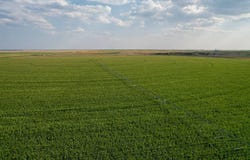 CO RD, Wallace, KS 67761