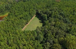 Provitt Road, Grady, AL 36036
