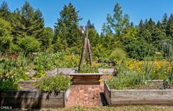 31501 Comptche Ukiah Road, Comptche, CA 95427