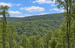 113 LEE DRIVE, LINDEN, VA 22642