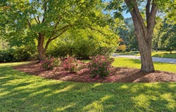 306 Pecan Lane, Laurinburg, NC 28352