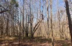 Fishing Creek Road lot: 6, Enfield, NC 27823