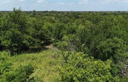 (OFF) HCR 3255, Mount Calm, TX 76673