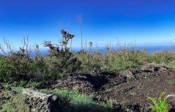 TIKI LN, Ocean View, HI 96737