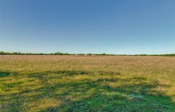 County Road 4910, Trenton, TX 75490