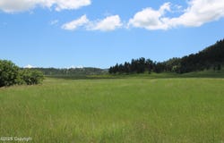 Tract 4 Bay Mountain Rd., Hulett, WY 82720