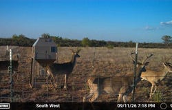 State Highway 70, Dickens, TX 79229