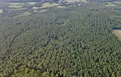 240 ac Highway 49 S, Nelson, VA 24580