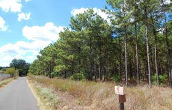 TBD 10 ACRES SPRUCE RD., Big Sandy, TX 75755