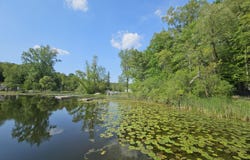 5350 Eze Street, Reading, MI 49274