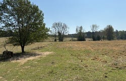 D-1 Dorcheat Road, Minden, LA 71055