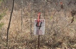 TRACT 4 GEORGE WALTER Rd, Bolivar, TN 38008