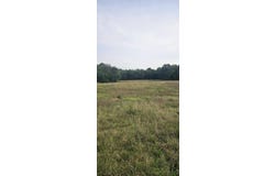 473 Block Road, Coldwater, MI 49036