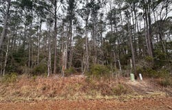 151 Dogwood Trail SW, Supply, NC 28462