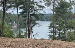 385 EMMONS Dr, Arley, AL 35541