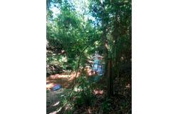 24282 Marshburn Drive, Magnolia, TX 77447
