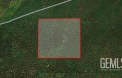 Lost Hills, CA 93249