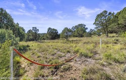 2B & 3A Hwy 220 lot: 2B & 3A, Alto, NM 88312
