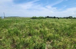 WEITA Road, BARTOW, FL 33830