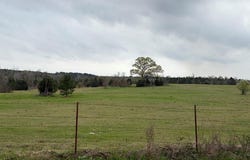 CR 1243, Linden, TX 75563