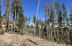 66 Piegan Ct, Red Feather Lakes, CO 80545