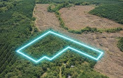 12.079AC Private Road 7630, Call, TX 75933
