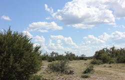 PID 3126 FM 2169, Junction, TX 76849