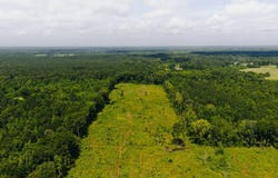 -- Calhoun Lane, Forest, MS 39074
