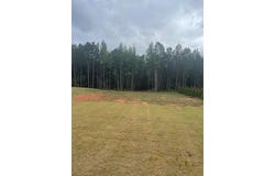 LEE ROAD 155 lot: 2A-1, SALEM, AL 36874