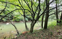 6095 W Midland Trl, Charmco, WV 25958
