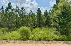 NW 49TH TRAIL, Jasper, FL 32052