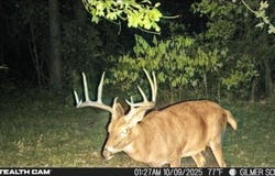 Stag Road, Gilmer, TX 75644