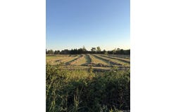 Rob Hill Road, Dardanelle, AR 72834