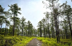 4 CR 257, Jasper, TX 75951