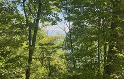 Longview Ridge lot: 67, Sylva, NC 28779