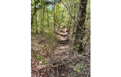 County Road 2615, Bonham, TX 75418