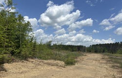 McDonald Road lot: E, Littleton, ME 04730