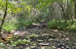 OLD BALTIMORE Rd, Parrish, AL 35580